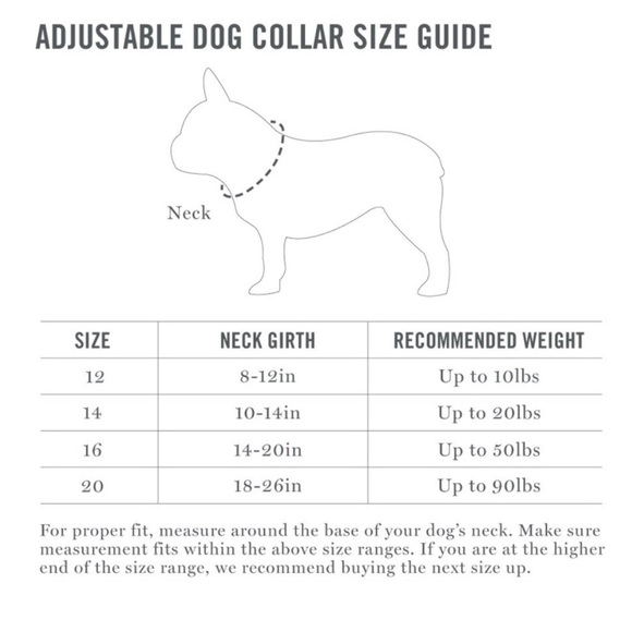 Martha Stewart Adjustable Nylon Dog Collar Size 20 - Neck 18-26" Mint Green/Gray - Picture 10 of 11